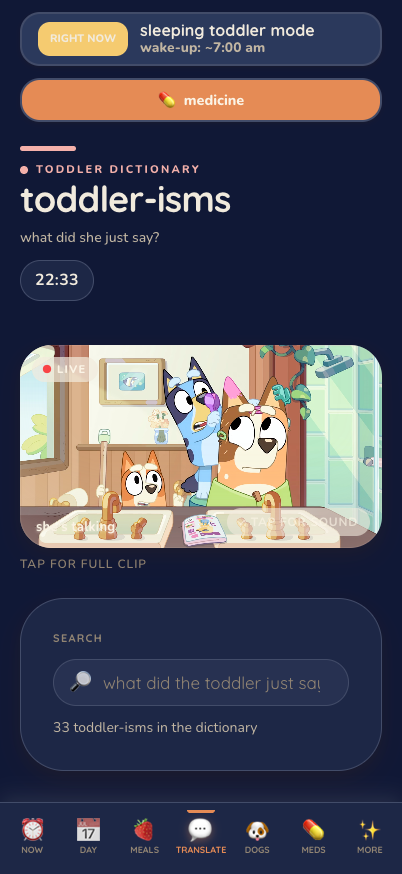 The Translator page: "TODDLER DICTIONARY — toddler-isms — what did she just say?" with a search box reading "what did the toddler just say?" and "33 toddler-isms in the dictionary," over a Bluey clip.